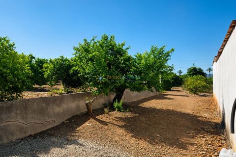 Villa en Cotes, Valencia, Cotes - € 1.200.000 | Ref: PNVL2175 - photo 40